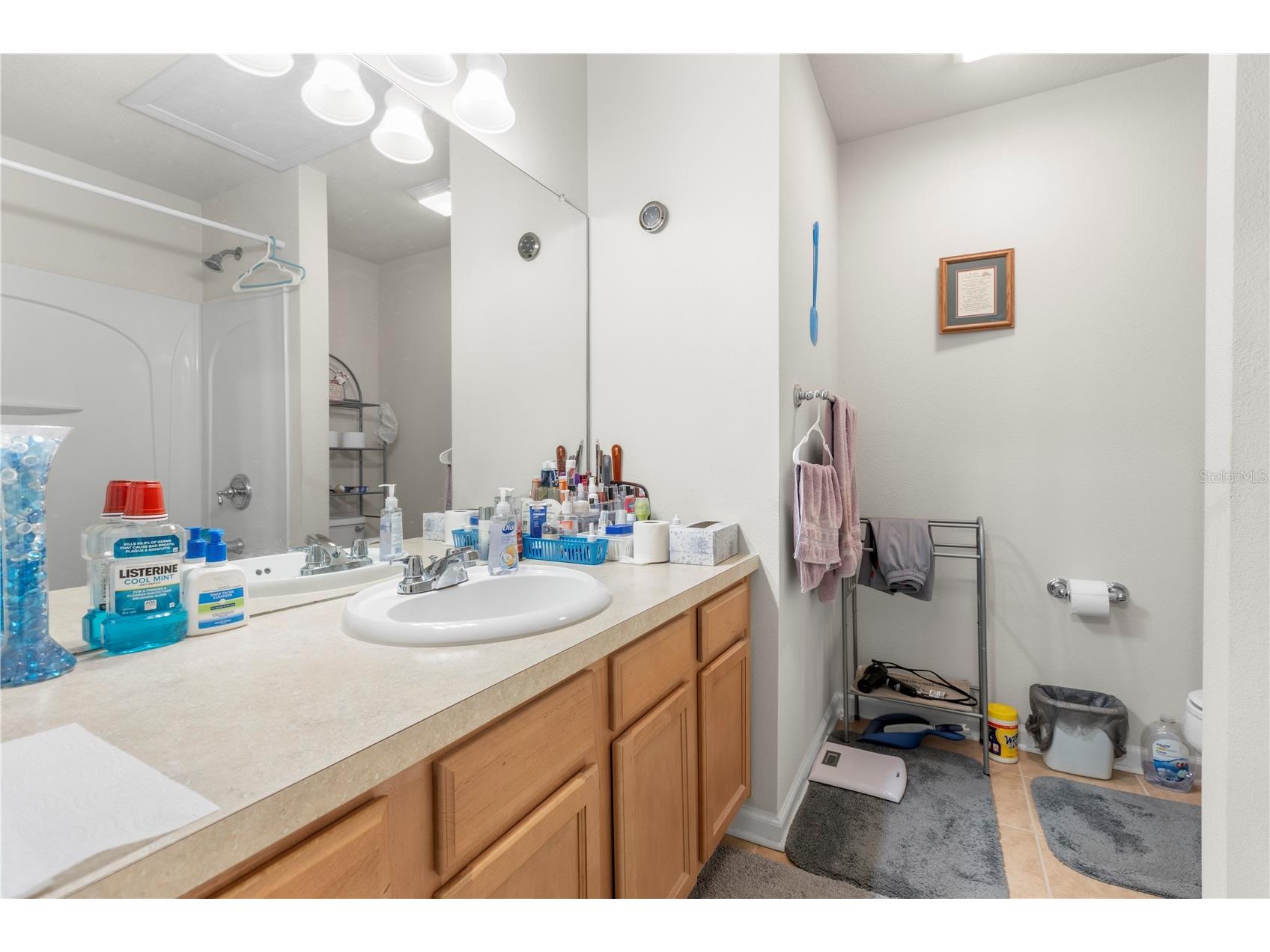 10404 Westpark Preserve Boulevard Tampa FL 33625 TB8418804 image20