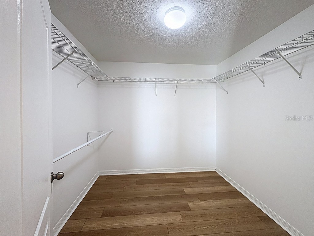 10404 White Peacock Place Riverview FL 33578 TB8451764 image23