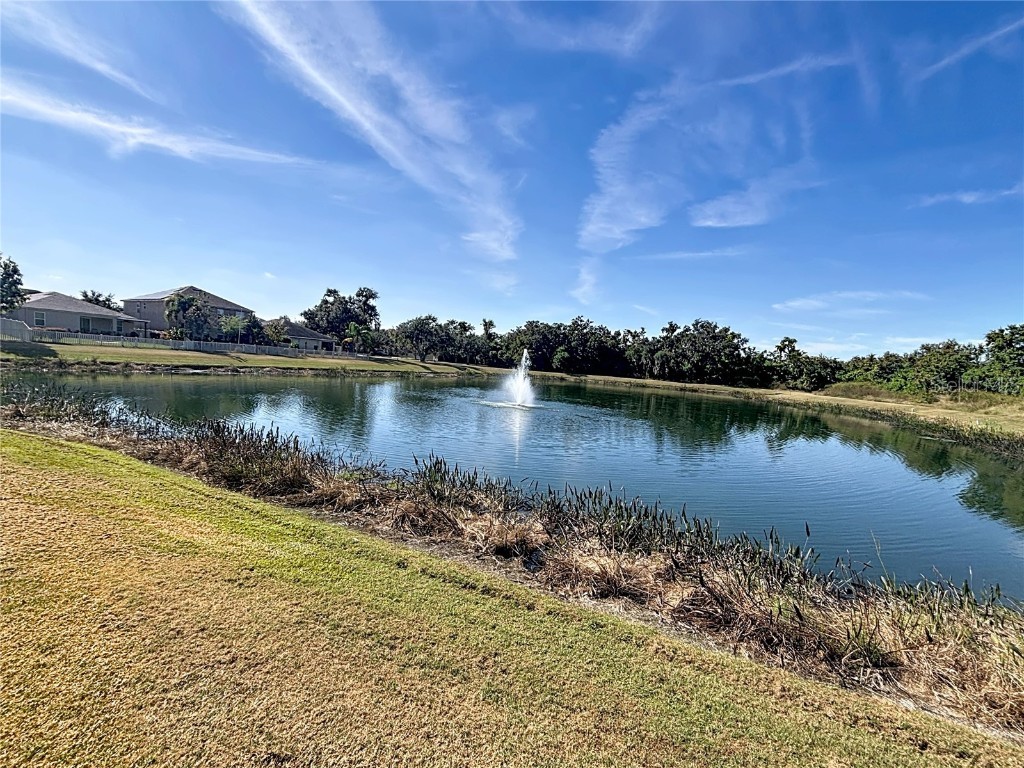 10404 White Peacock Place Riverview FL 33578 TB8451764 image39