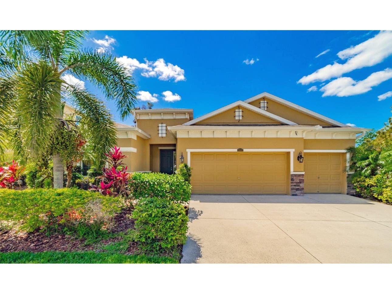 10405 Hampton Meadow Way Riverview FL 33578 T3434710 image1