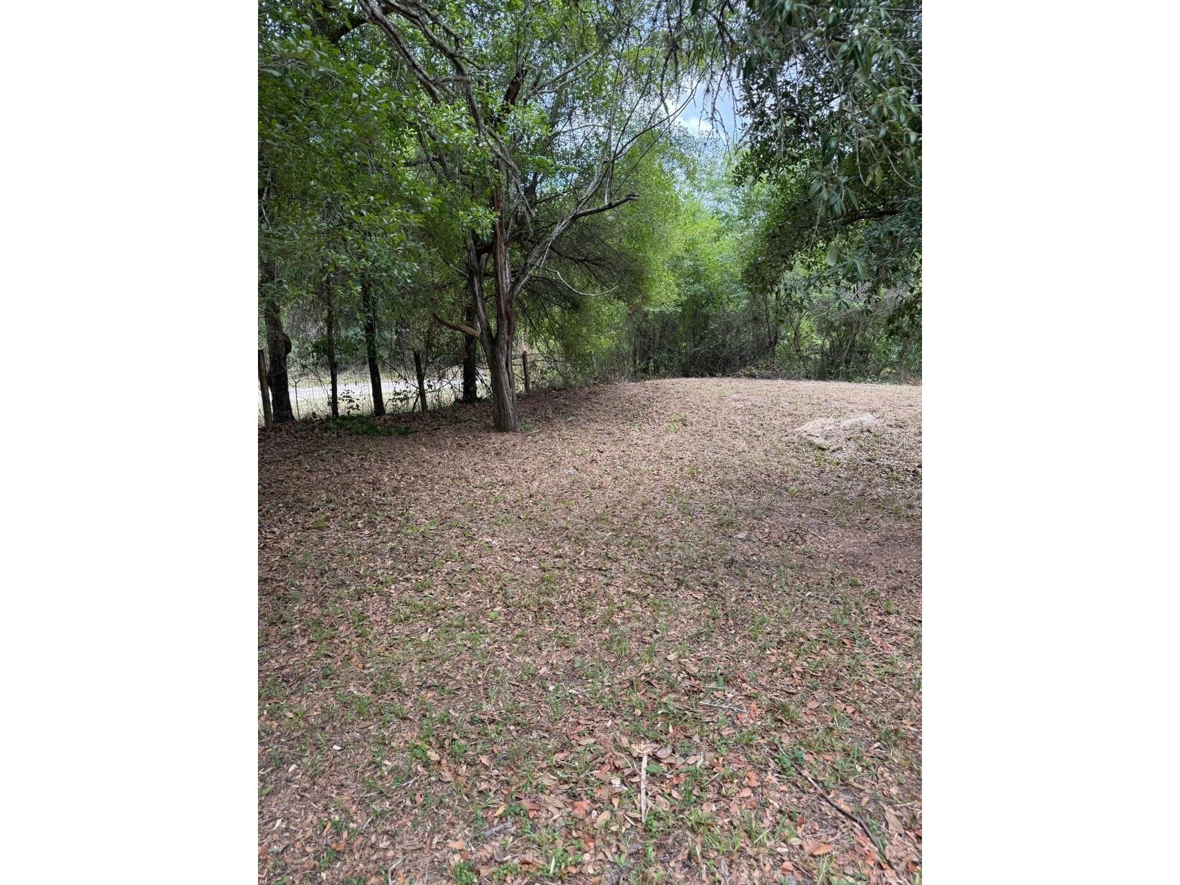 10405 Jungle Street New Port Richey FL 34654 TB8471121 image25