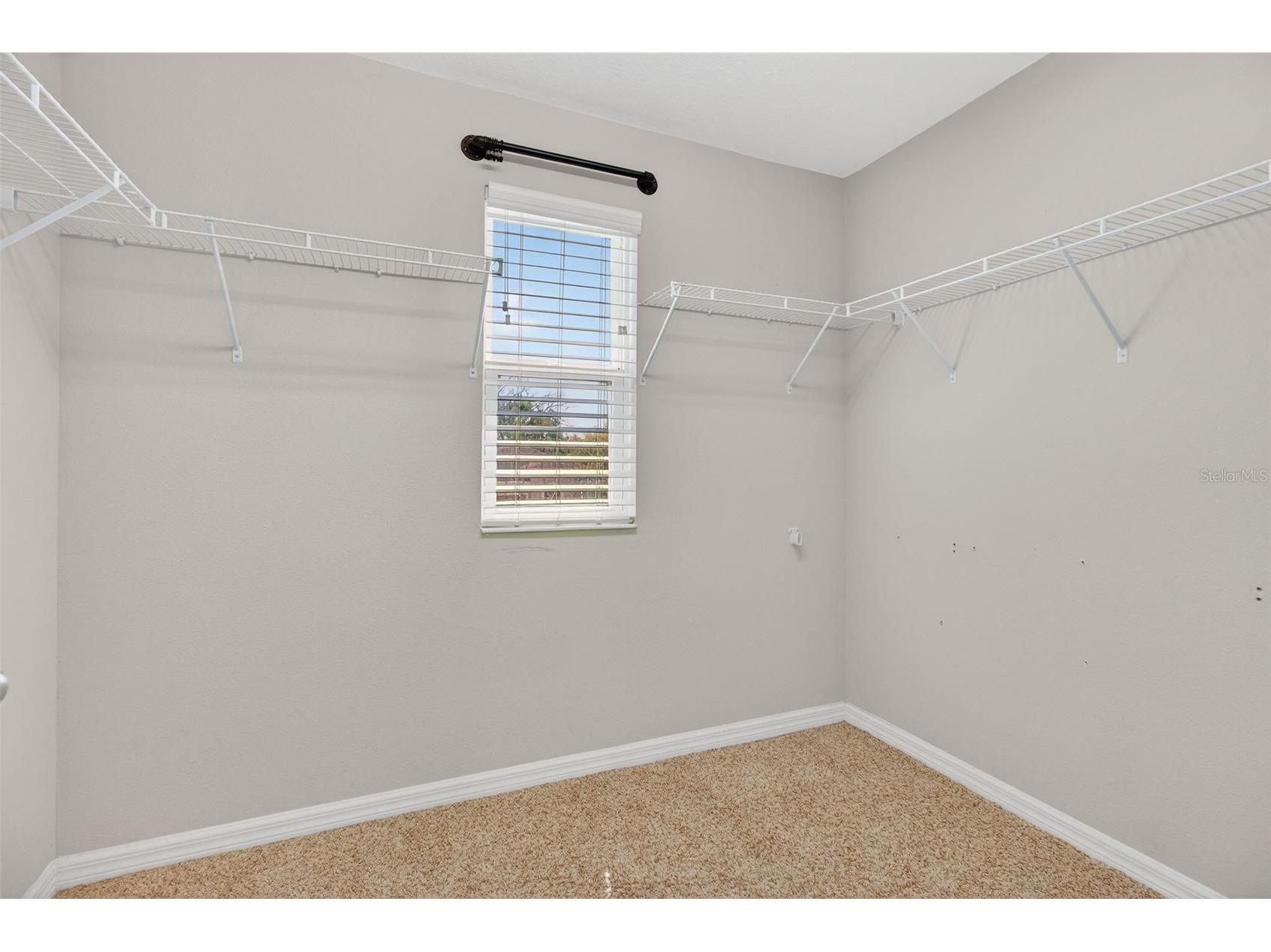 10405 Laguna Plains Drive Riverview FL 33578 TB8465652 image22