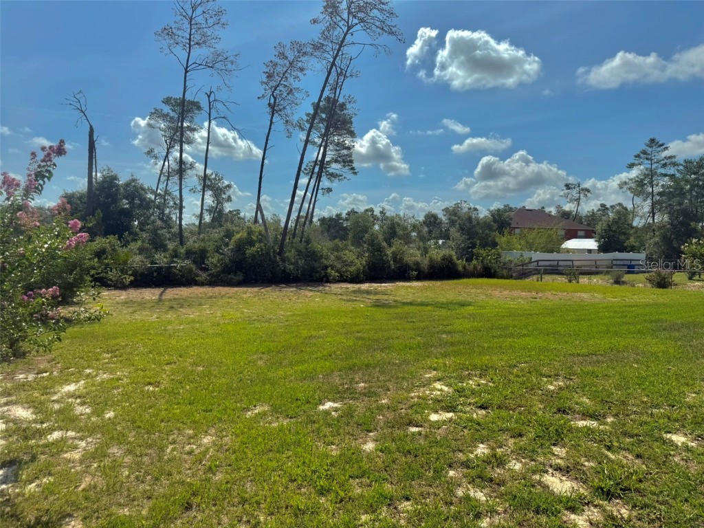 10405 Sw 47th Ave Ocala FL 34476 OM703416 image6