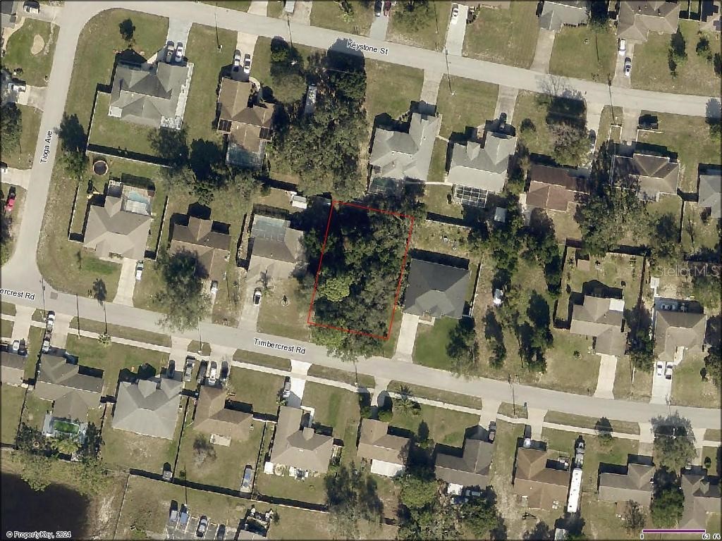 10405 Timbercrest Road Spring Hill FL 34608 W7866587 image1