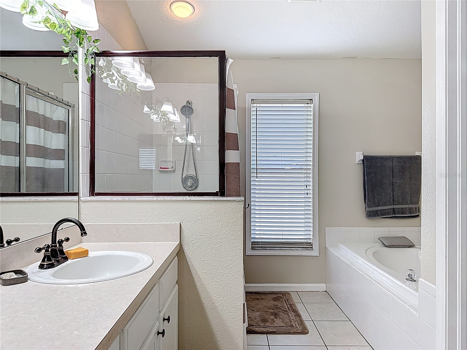 10406 Paragon Place Riverview FL 33578 N6142428 image27