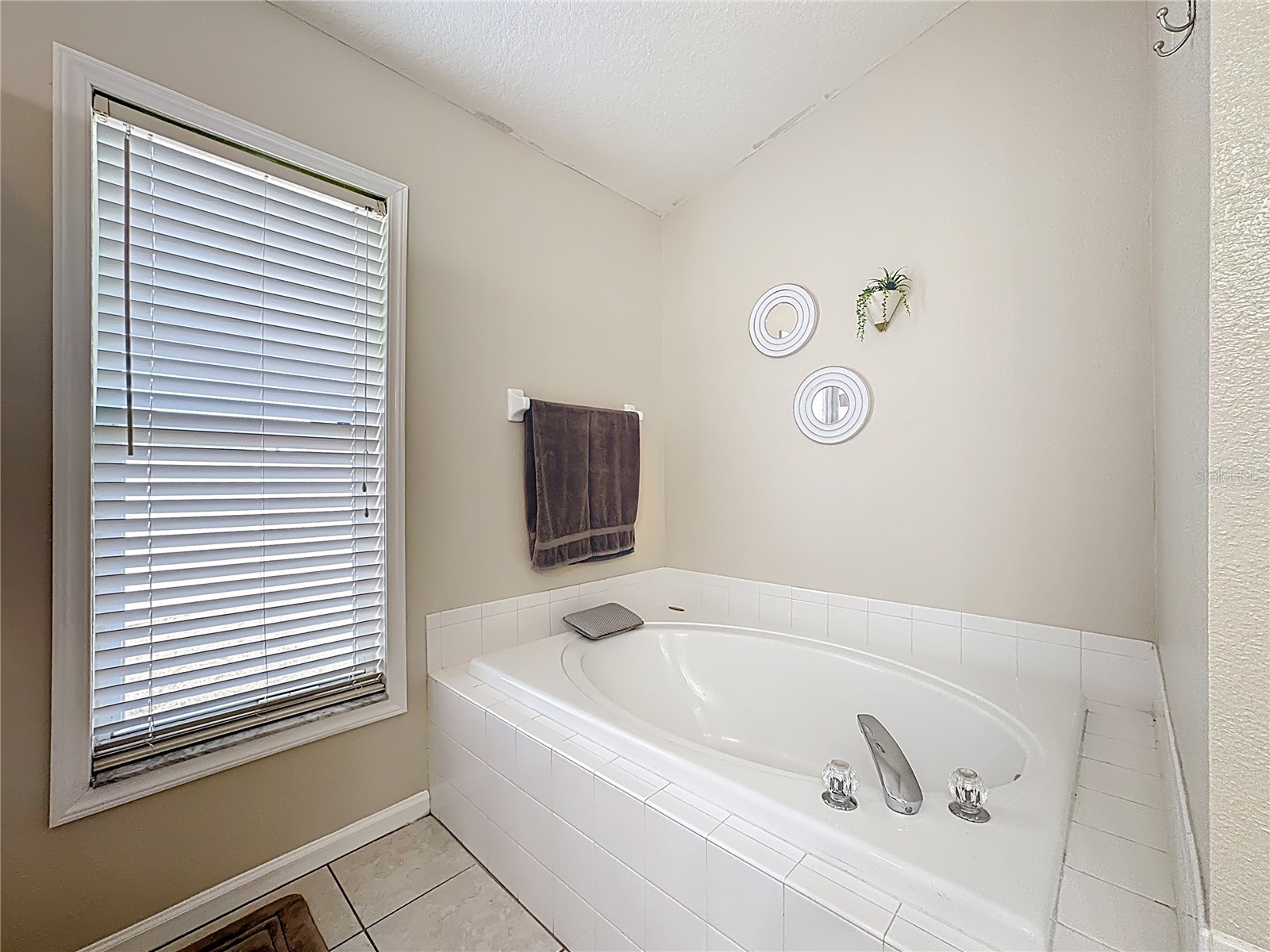 10406 Paragon Place Riverview FL 33578 N6142428 image28