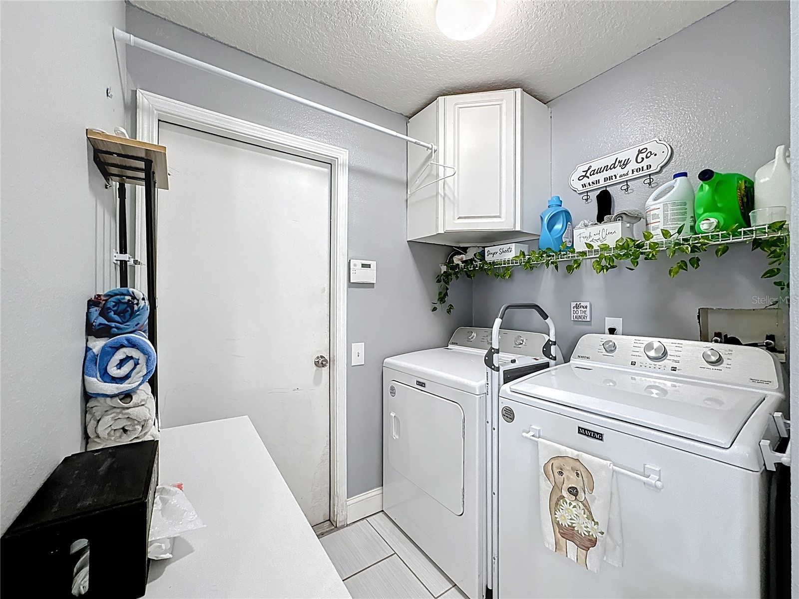 10406 Paragon Place Riverview FL 33578 N6142428 image29
