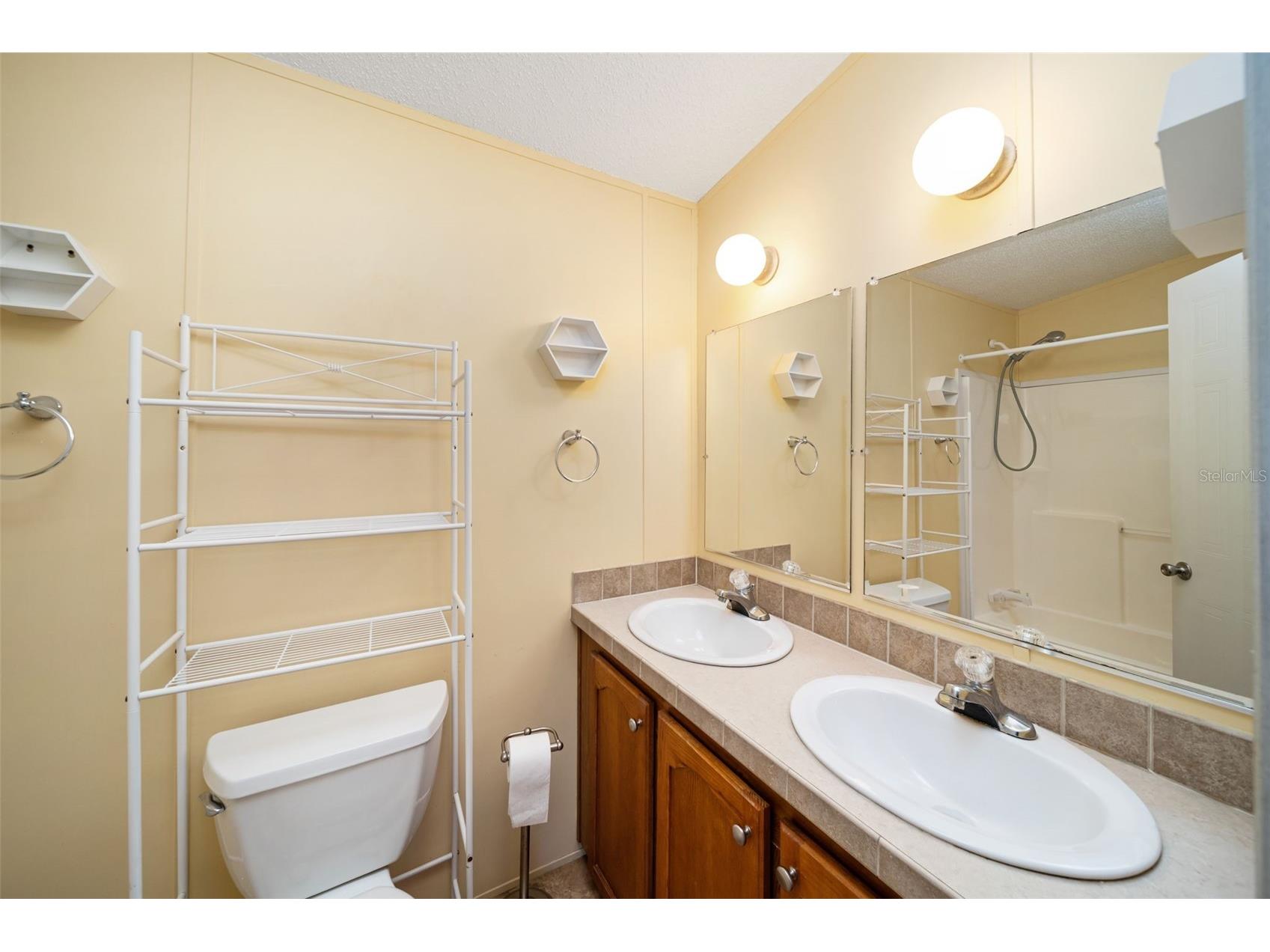 10407 Goshawk Drive Riverview FL 33578 A4694916 image24