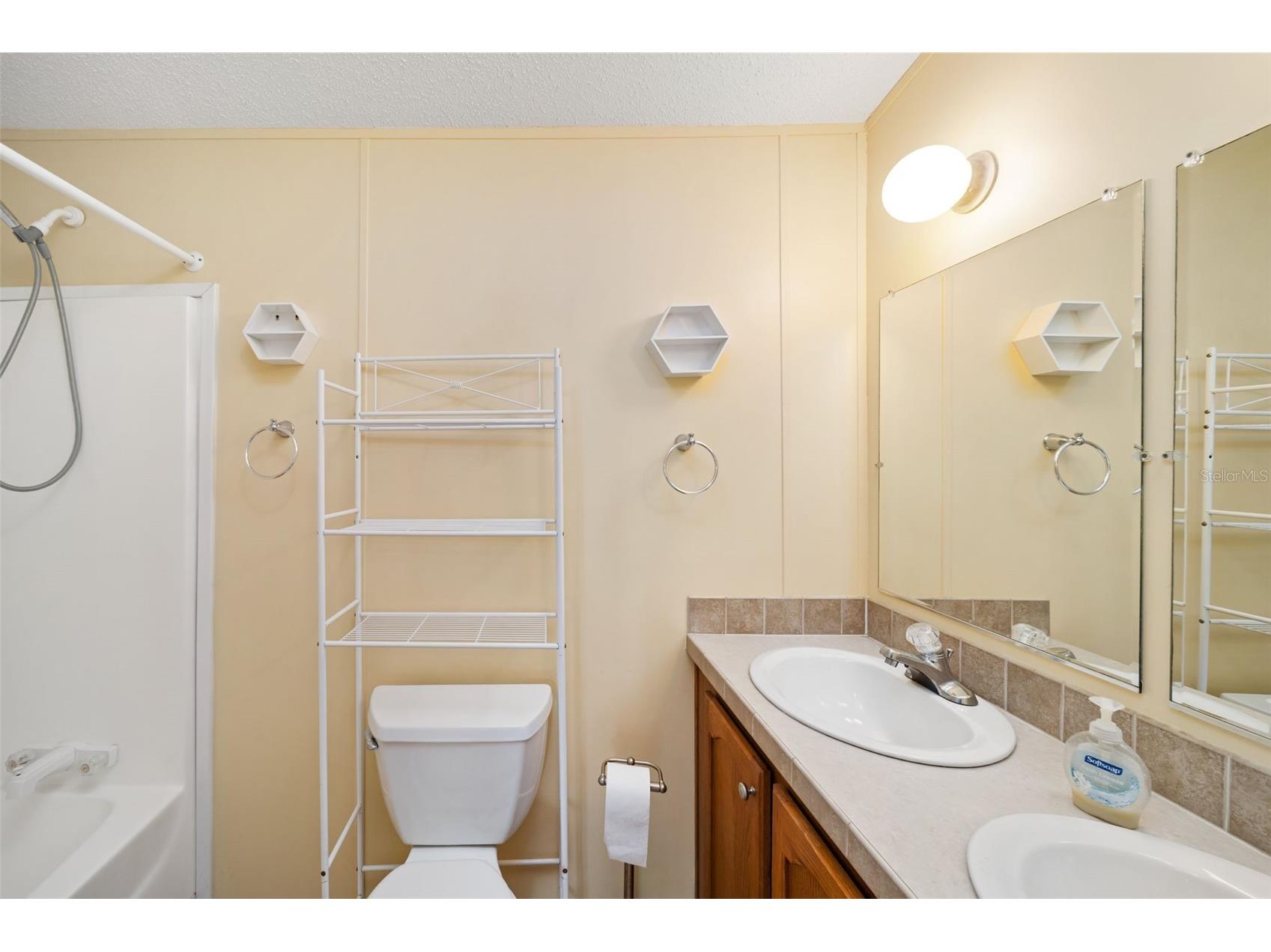 10407 Goshawk Drive Riverview FL 33578 A4694916 image25