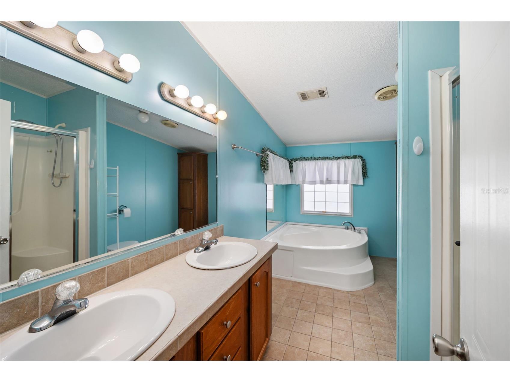 10407 Goshawk Drive Riverview FL 33578 A4694916 image32