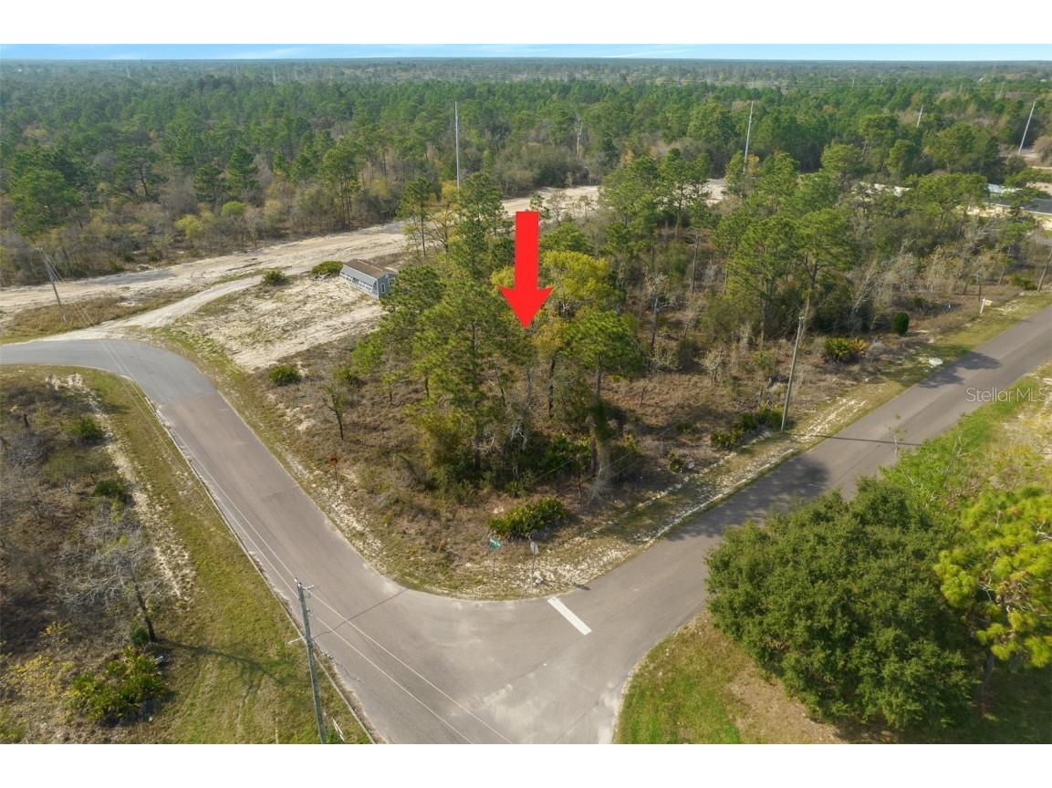 10407 Grass Finch Road Brooksville FL 34613 W7852881 image1