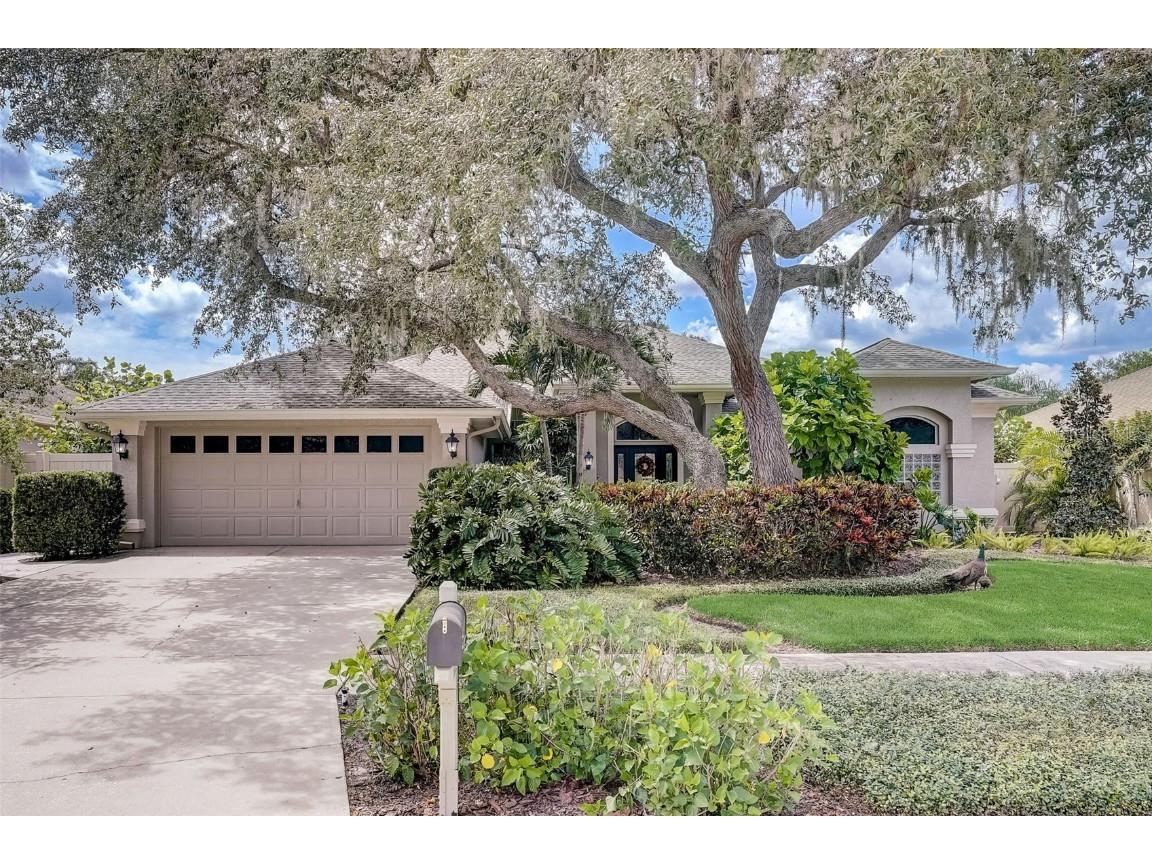 10407 Harvestime Place Riverview FL 33569 T3470521 image1