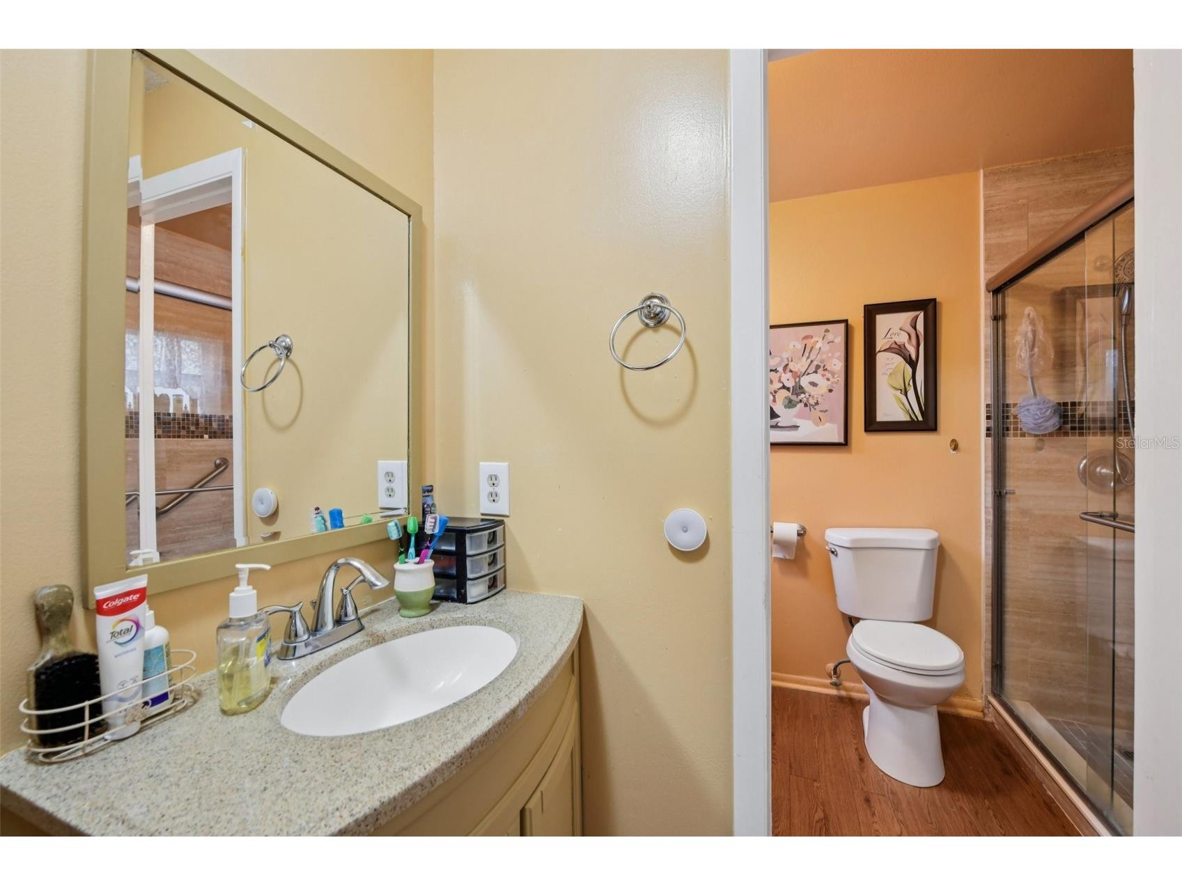 10407 Larissa Street Orlando FL 32821 TB8481884 image10