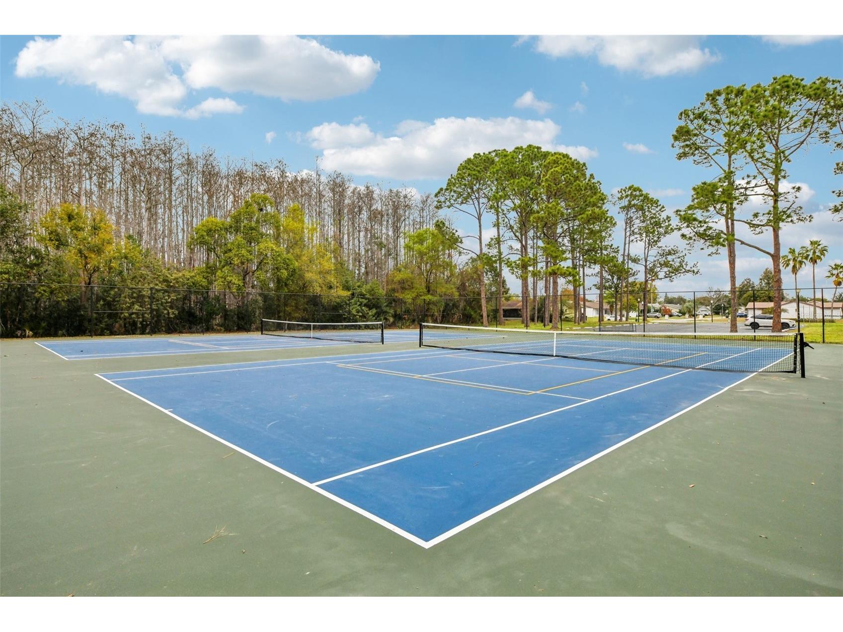 10407 Larissa Street Orlando FL 32821 TB8481884 image32