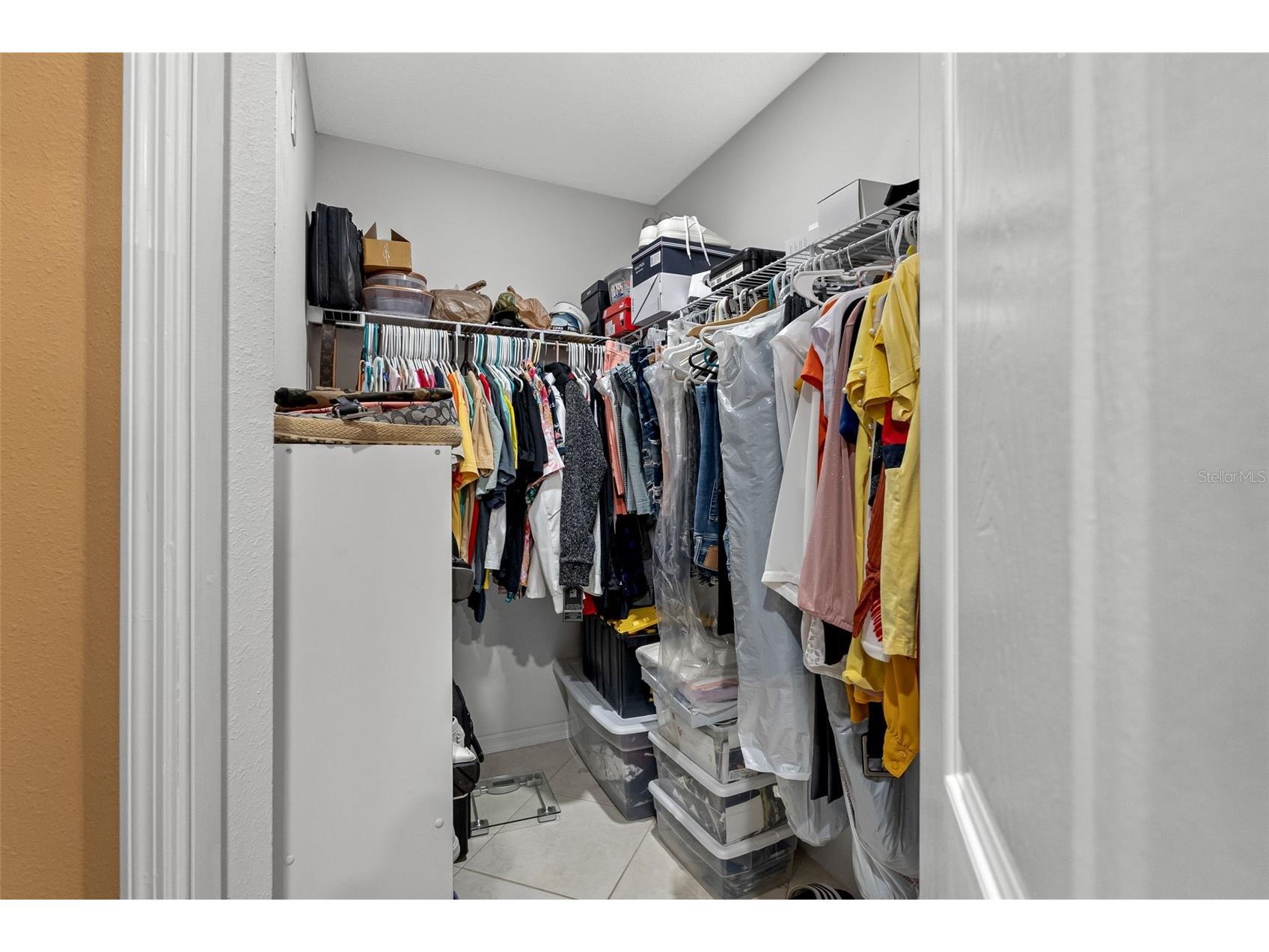 10407 N Woodmere Road Tampa FL 33617 TB8487911 image38