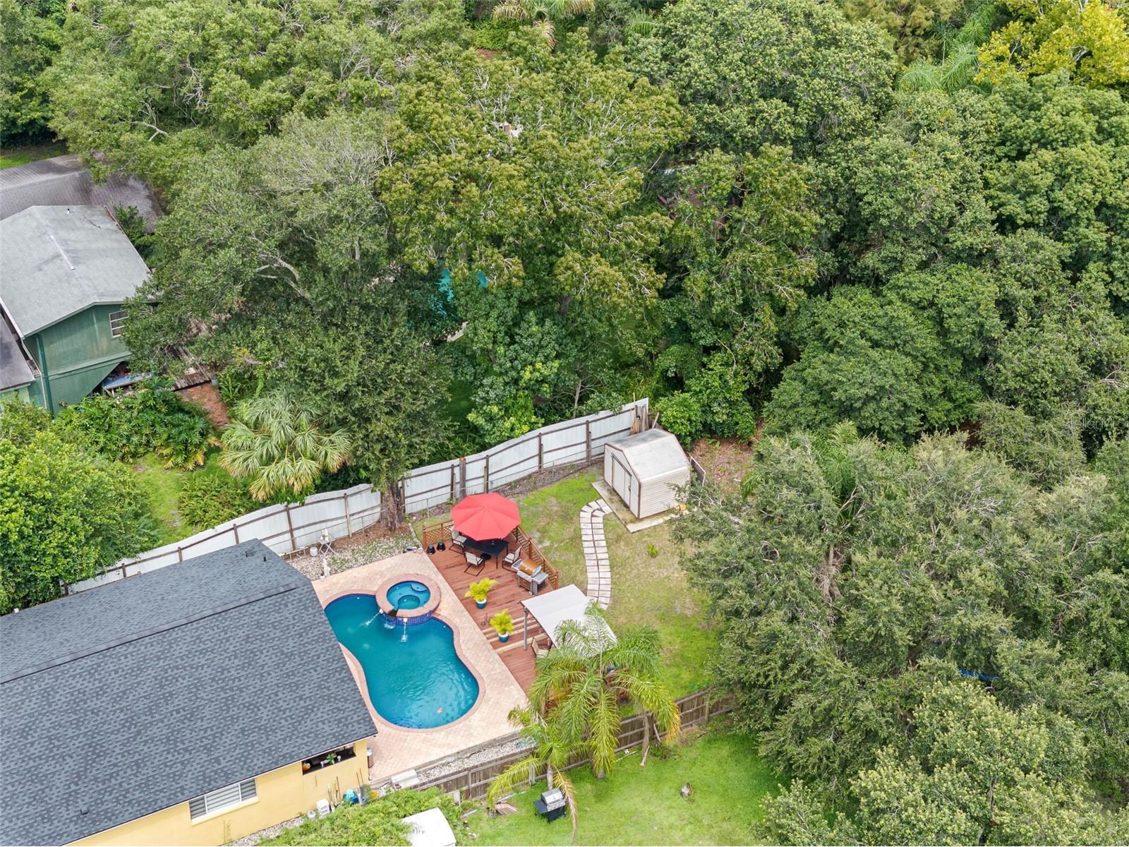 10407 N Woodmere Road Tampa FL 33617 TB8487911 image49