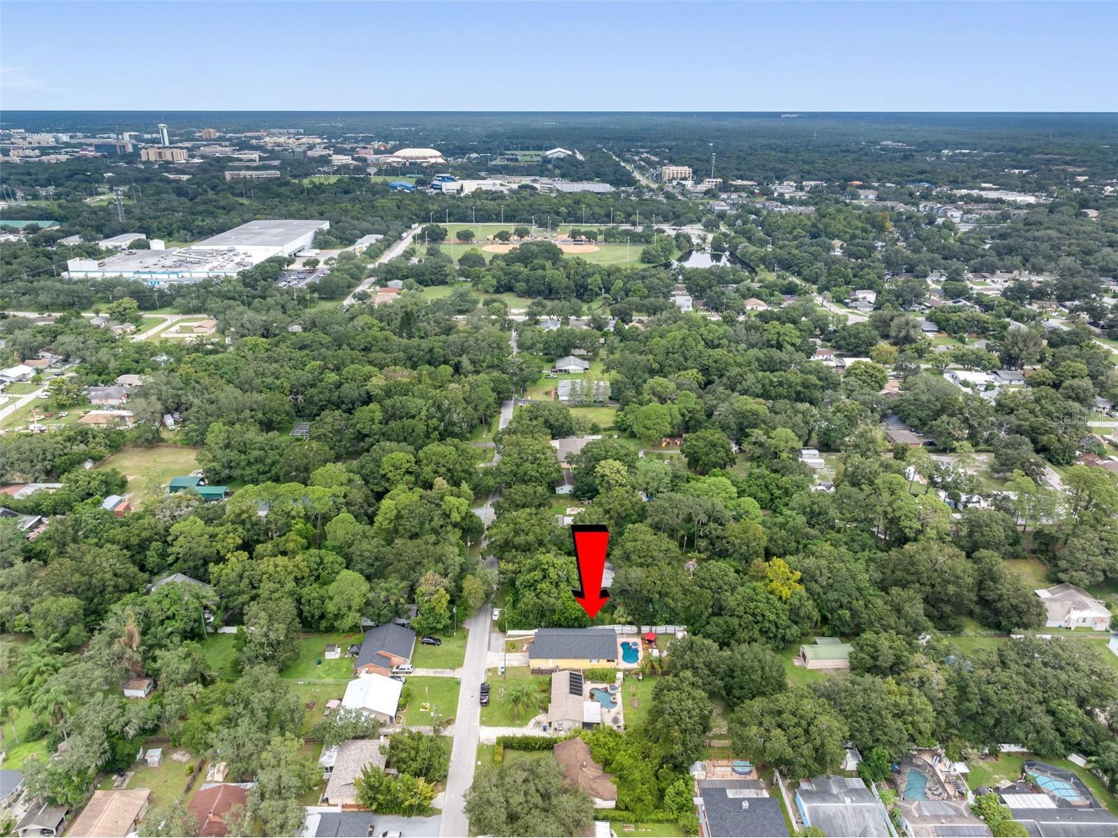 10407 N Woodmere Road Tampa FL 33617 TB8487911 image51