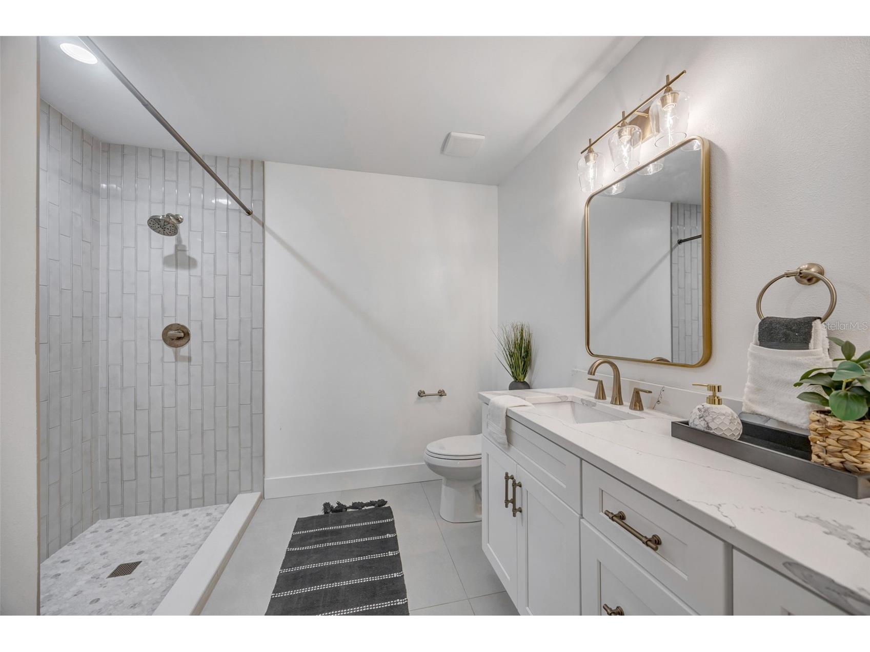10408 Butia Place Tampa FL 33618 - LAKE CARROLL TB8480260 image36