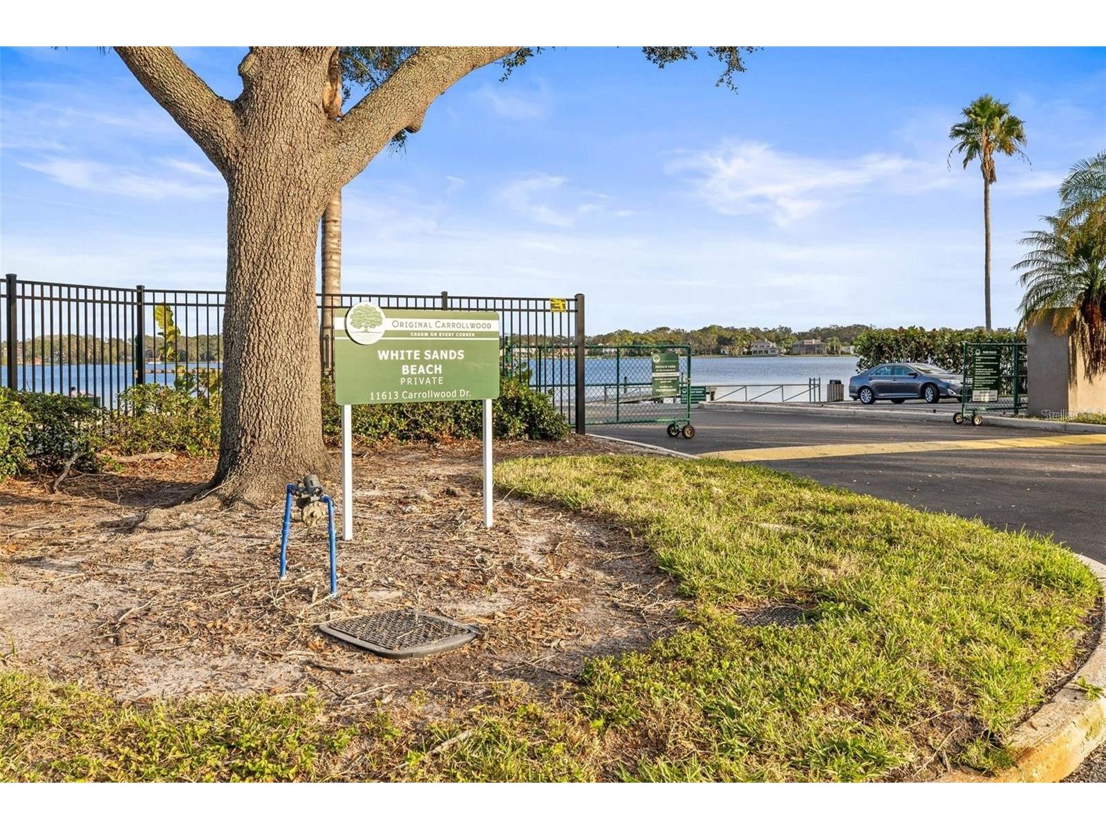 10408 Butia Place Tampa FL 33618 - LAKE CARROLL TB8480260 image52