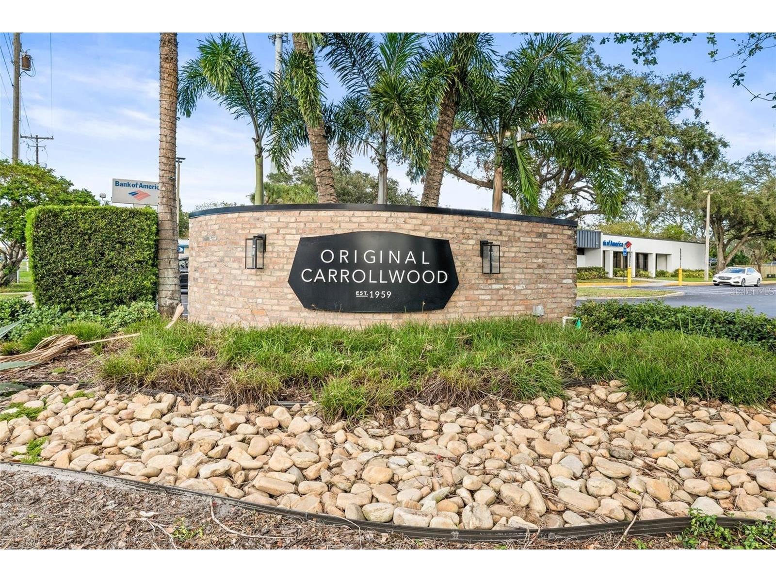 10408 Butia Place Tampa FL 33618 - LAKE CARROLL TB8480260 image53