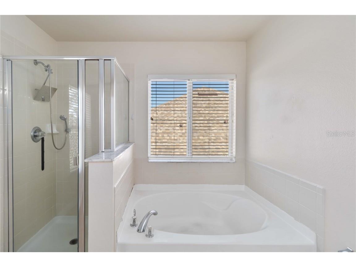 10408 Chorlton Circle Orlando FL 32832 S5138590 image30