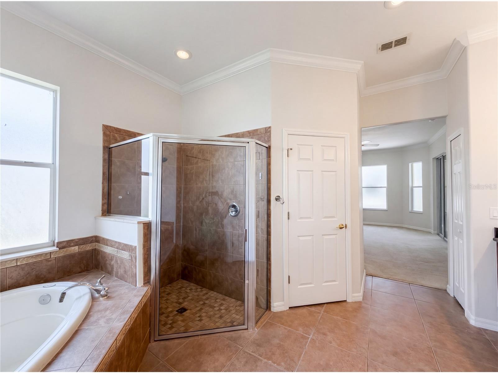 10408 Lago Louisa Court Clermont FL 34711 O6406539 image20