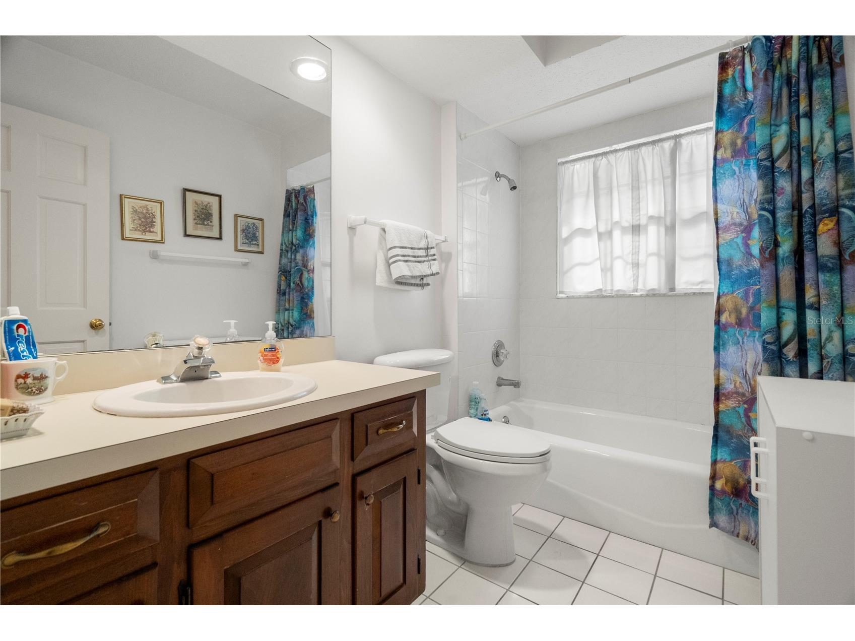 10408 Reclinata Lane Tampa FL 33618 - LAKE CARROLL TB8493878 image30