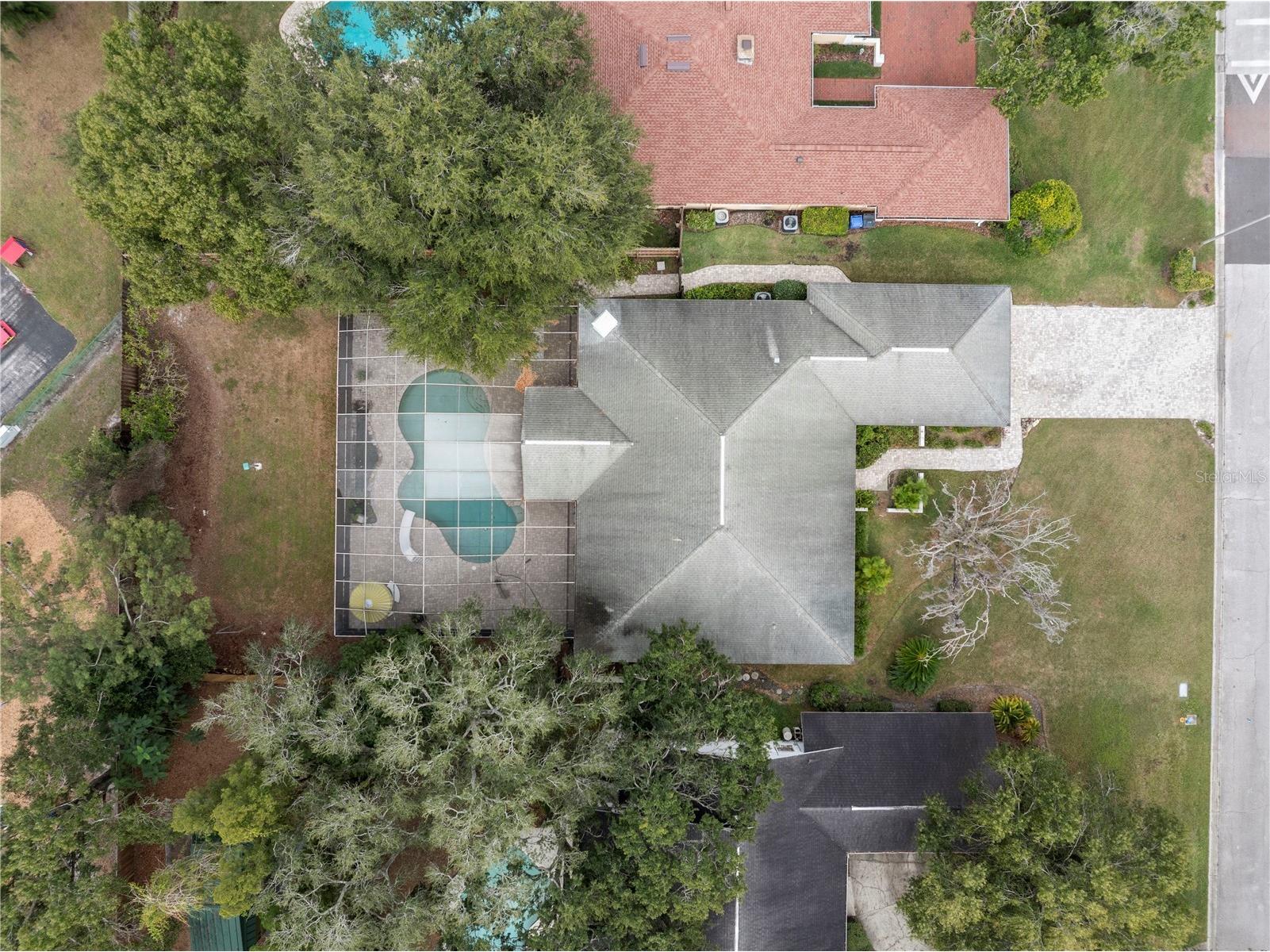 10408 Reclinata Lane Tampa FL 33618 - LAKE CARROLL TB8493878 image33