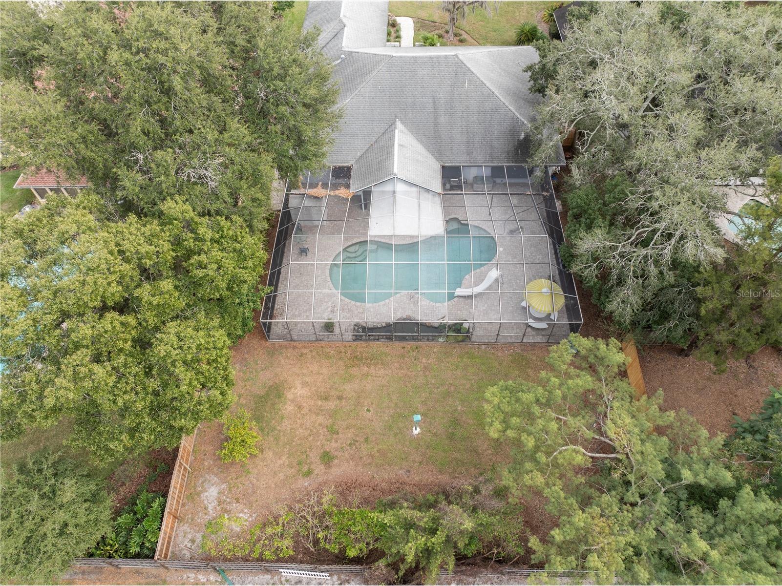 10408 Reclinata Lane Tampa FL 33618 - LAKE CARROLL TB8493878 image36