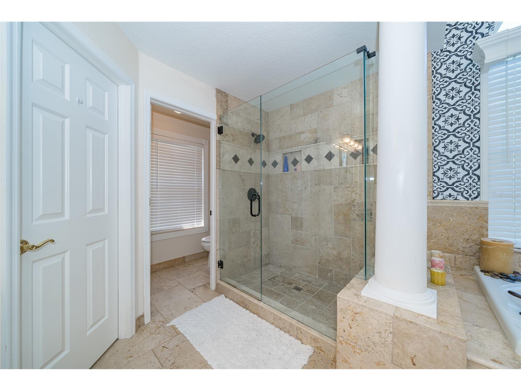 10408 Riverburn Drive Tampa FL 33647 TB8498587 image64