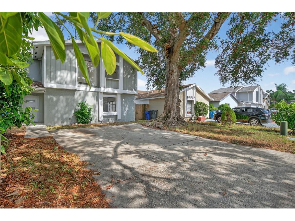 10408 Rosemount Drive Tampa FL 33624 TB8442264 image3