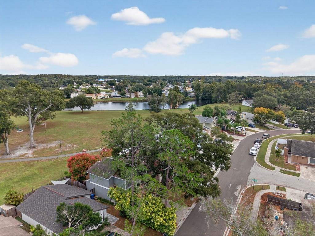 10408 Rosemount Drive Tampa FL 33624 TB8442264 image55