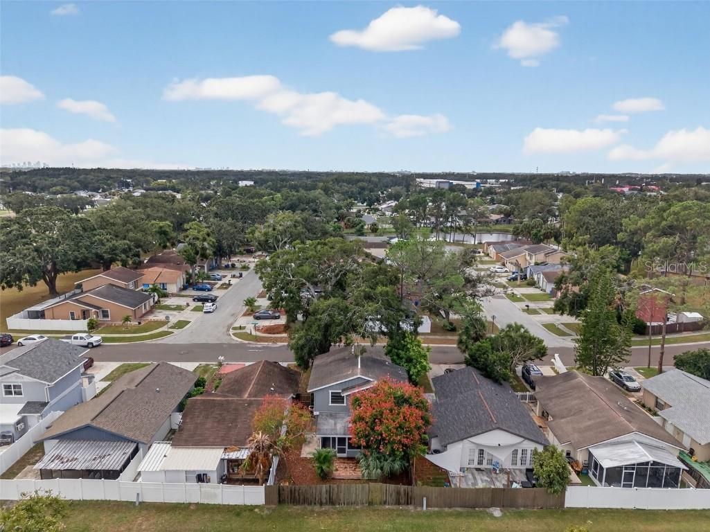 10408 Rosemount Drive Tampa FL 33624 TB8442264 image56