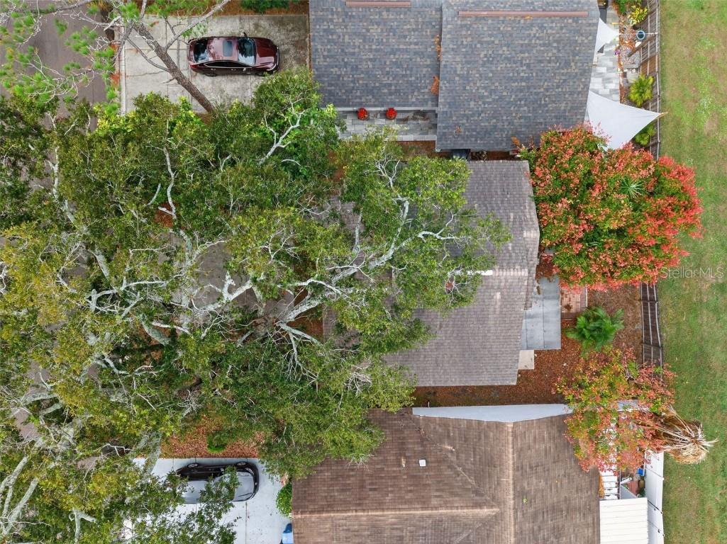 10408 Rosemount Drive Tampa FL 33624 TB8442264 image58