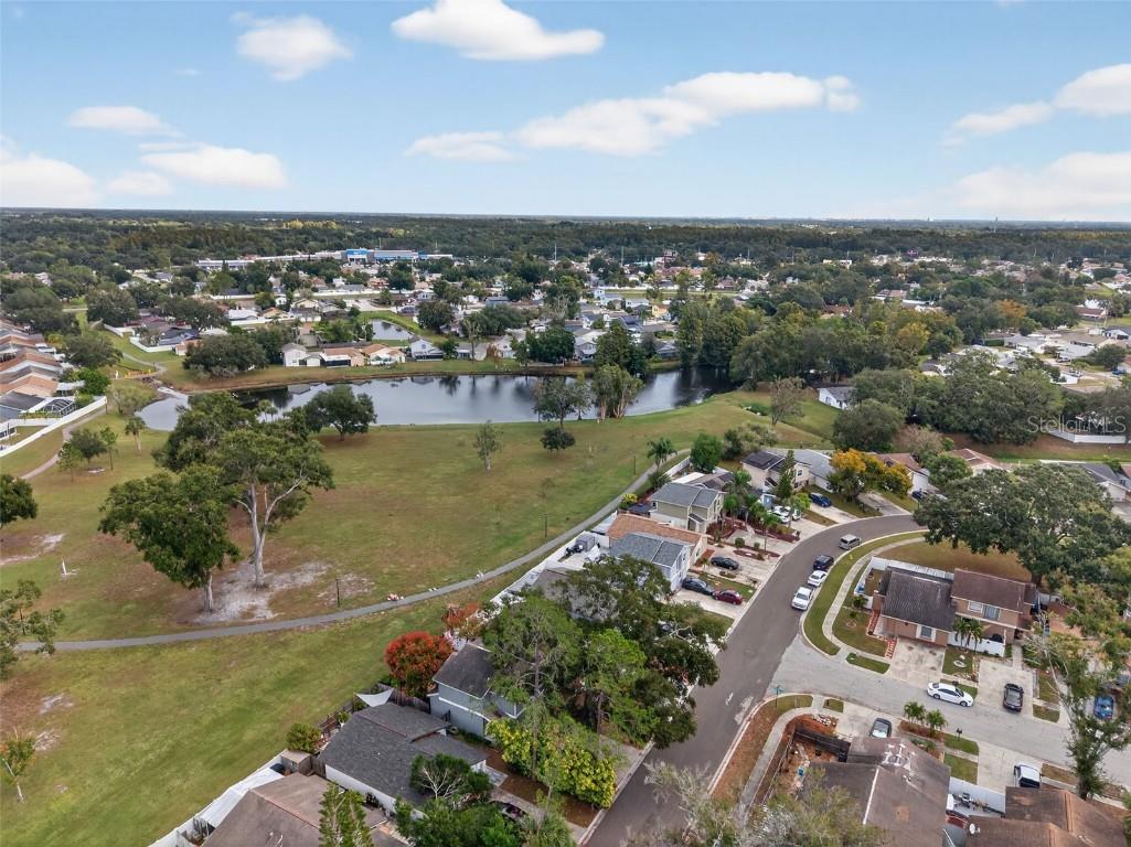 10408 Rosemount Drive Tampa FL 33624 TB8442264 image59