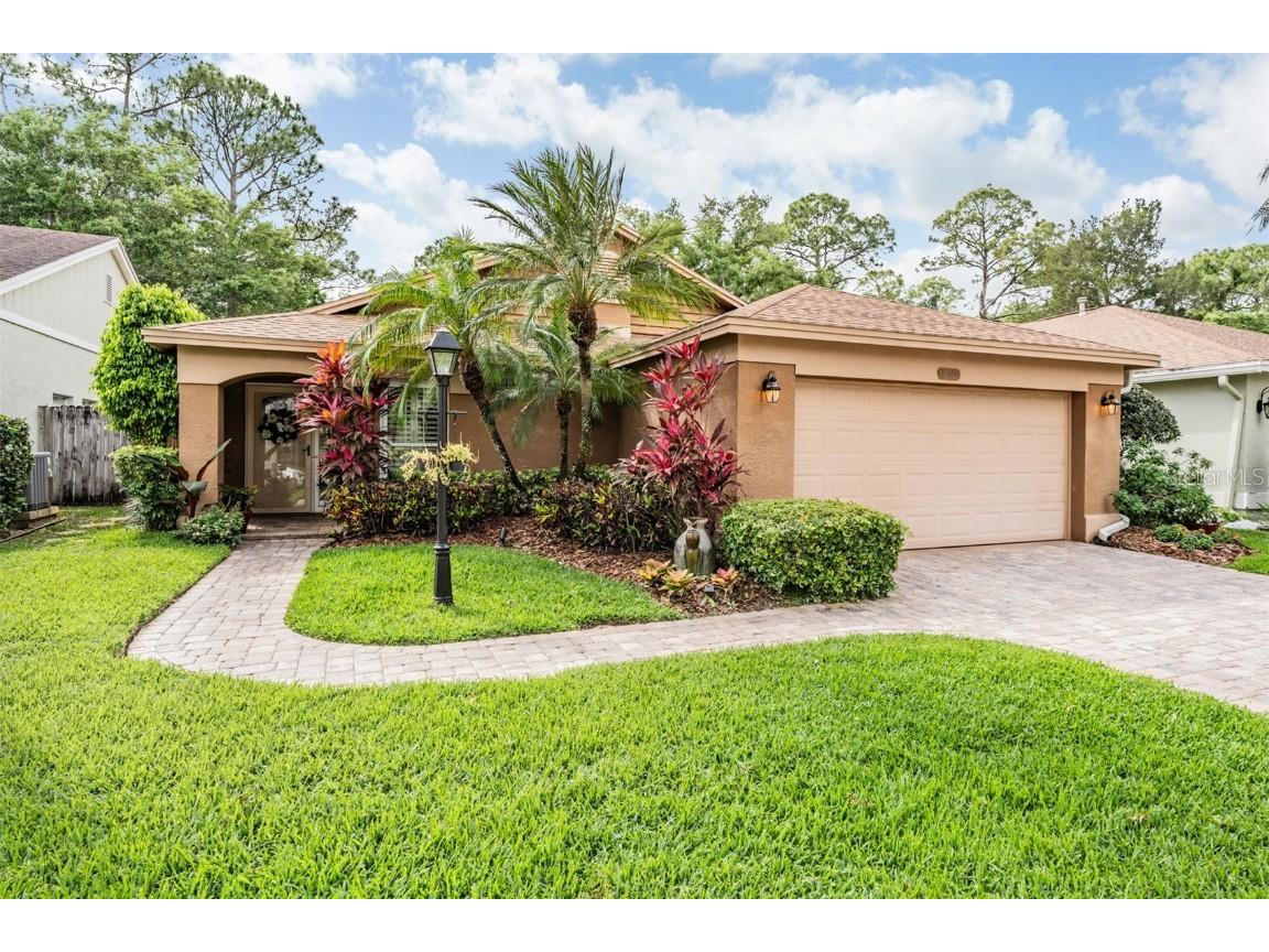 10408 Springrose Drive Tampa FL 33626 T3513331 image1