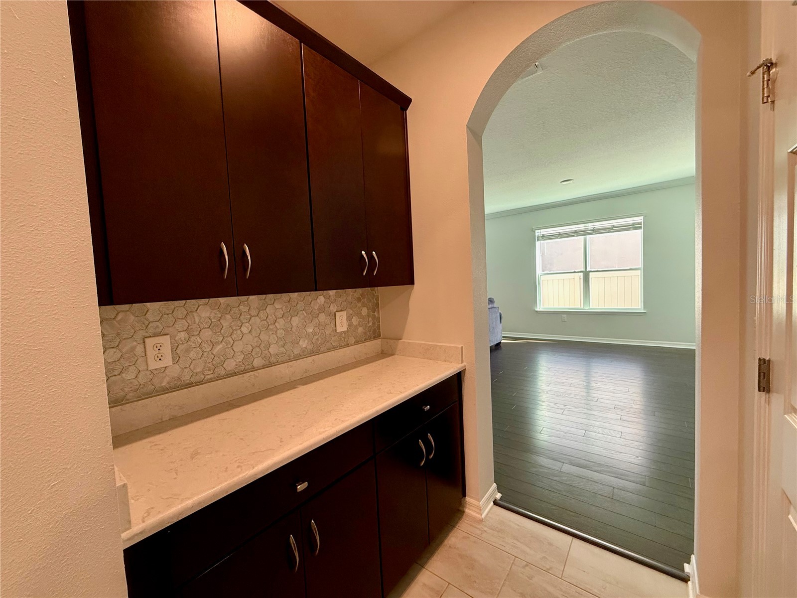 10409 Cardera Drive Riverview FL 33578 TB8466884 image20