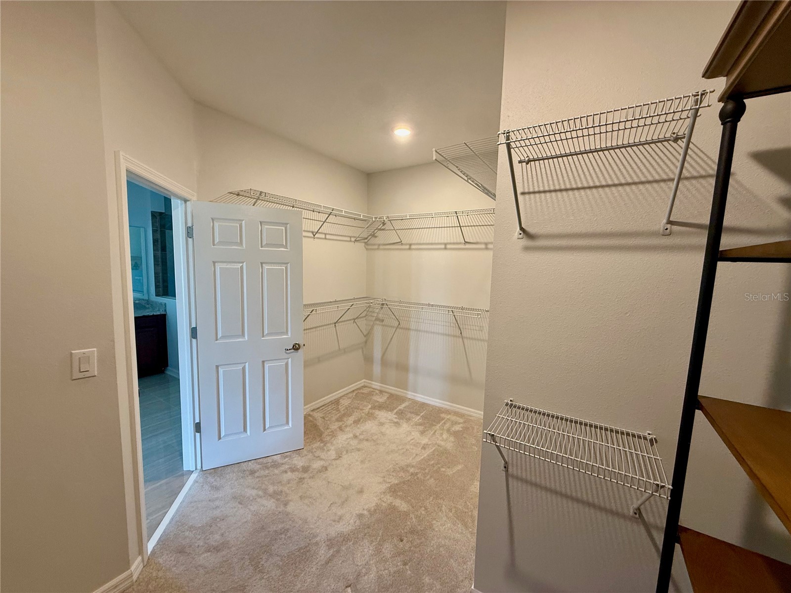 10409 Cardera Drive Riverview FL 33578 TB8466884 image26