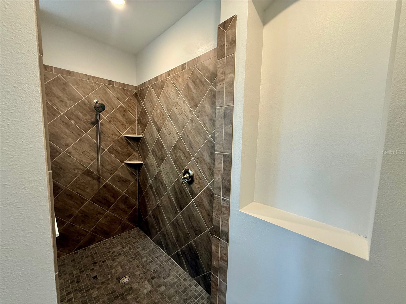 10409 Cardera Drive Riverview FL 33578 TB8466884 image27