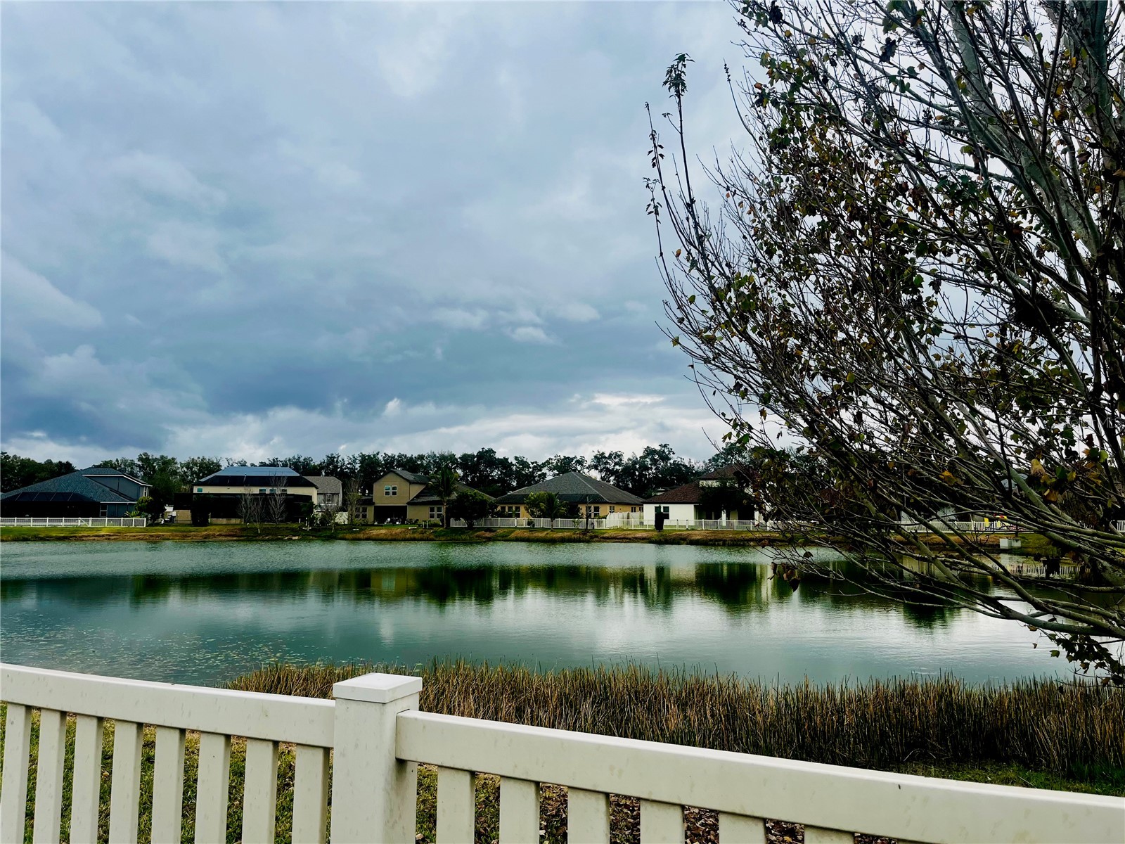 10409 Cardera Drive Riverview FL 33578 TB8466884 image38