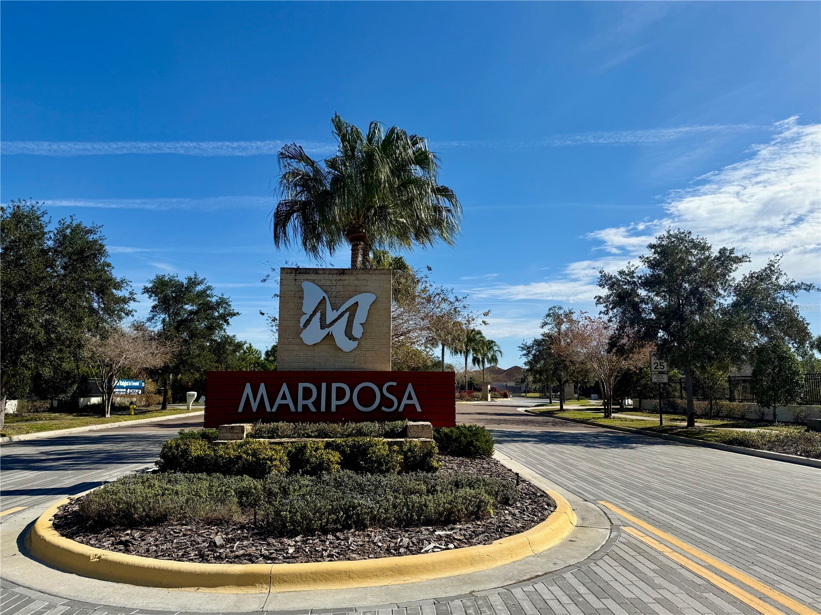 10409 Cardera Drive Riverview FL 33578 TB8466884 image39