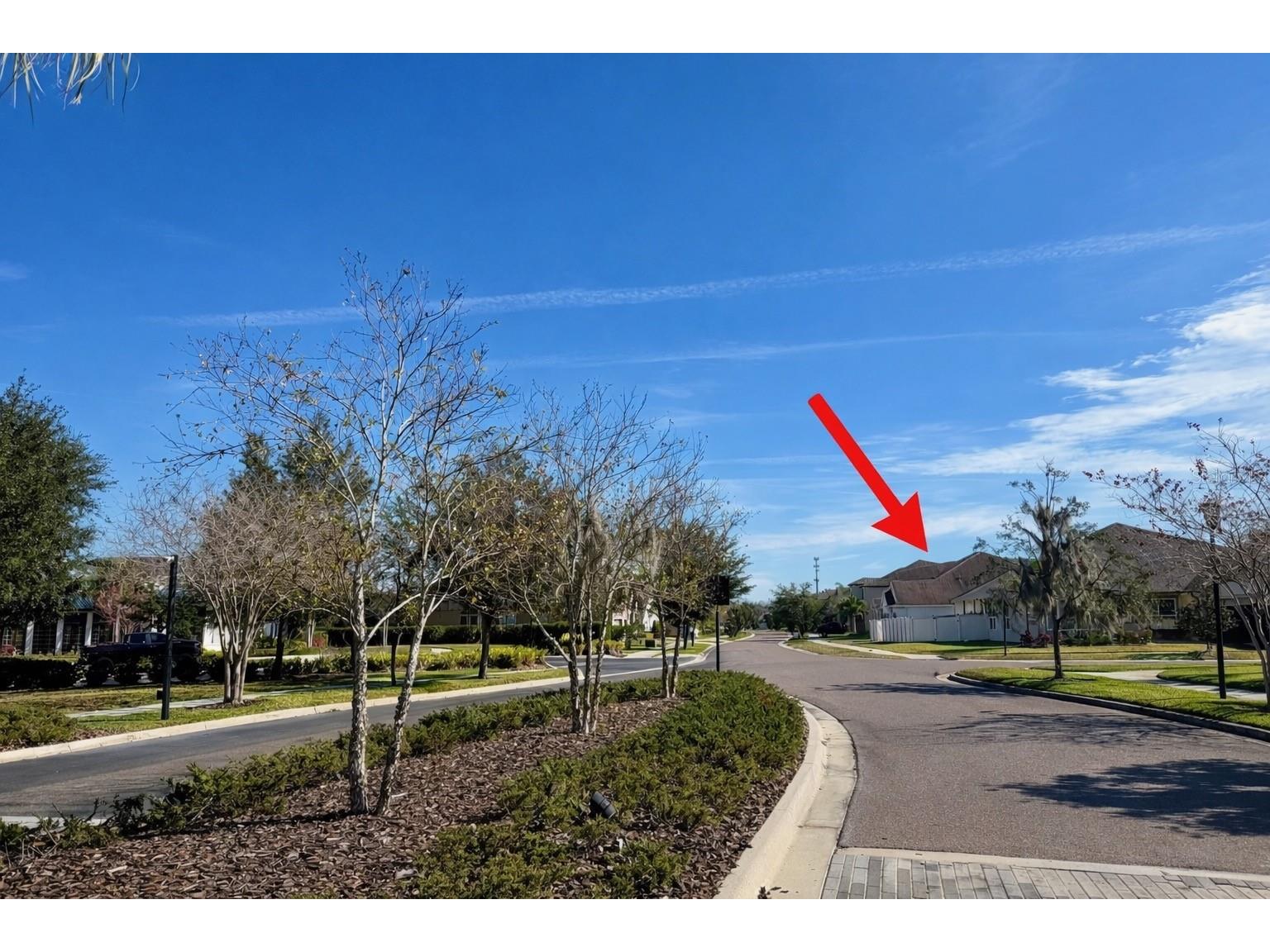 10409 Cardera Drive Riverview FL 33578 TB8466884 image41