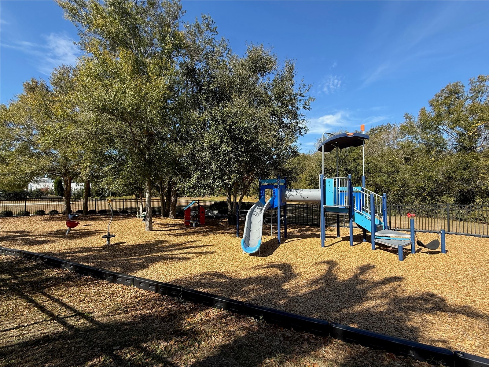 10409 Cardera Drive Riverview FL 33578 TB8466884 image44