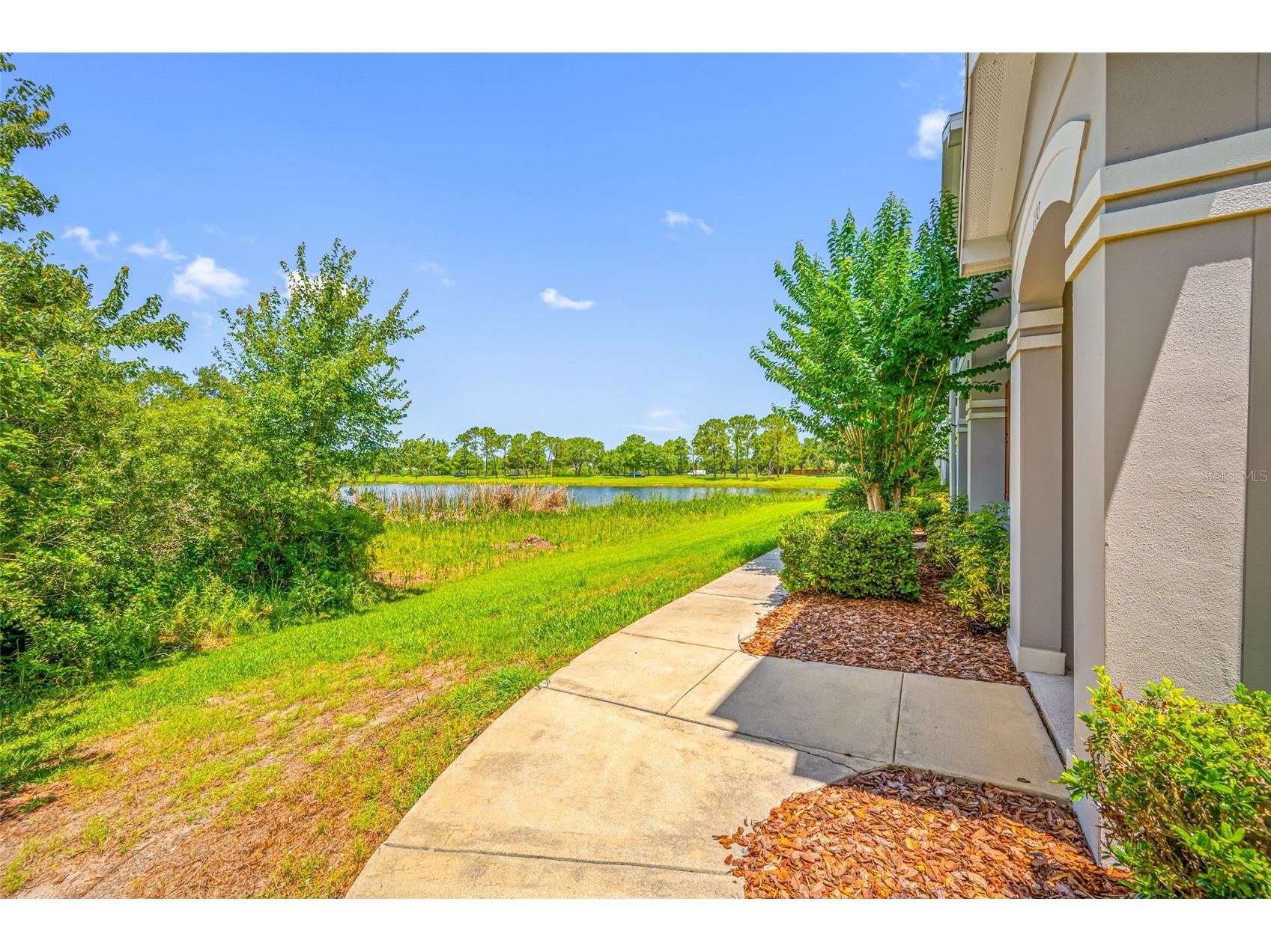 10409 Crimson Park Lane #110 Tampa FL 33626 TB8512743 image59