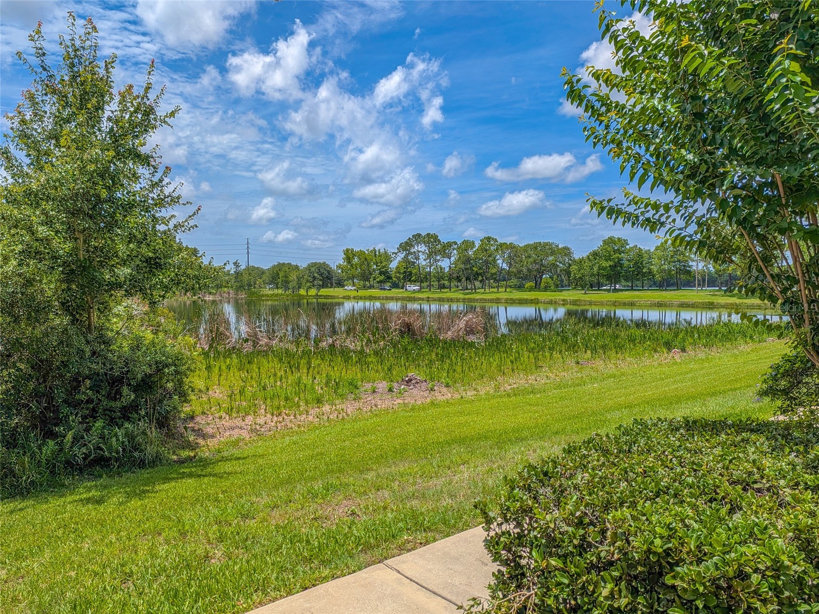 10409 Crimson Park Lane #110 Tampa FL 33626 TB8512743 image60