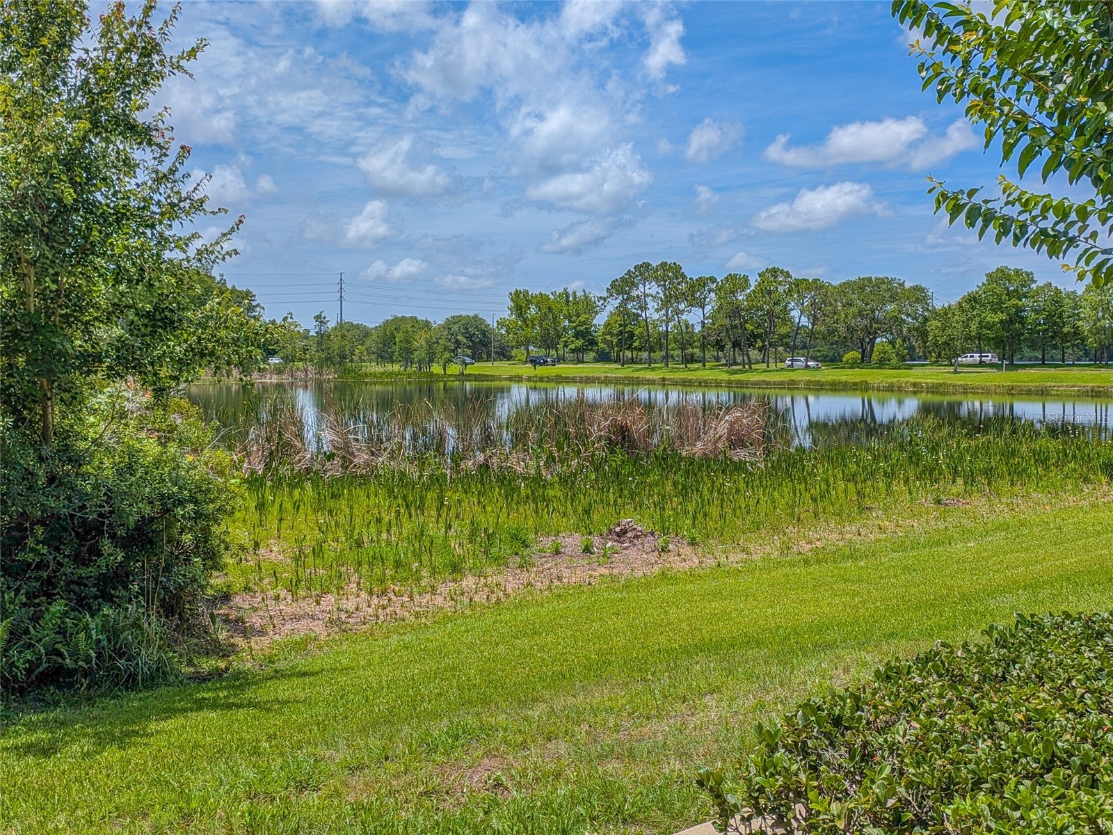 10409 Crimson Park Lane #110 Tampa FL 33626 TB8512743 image61