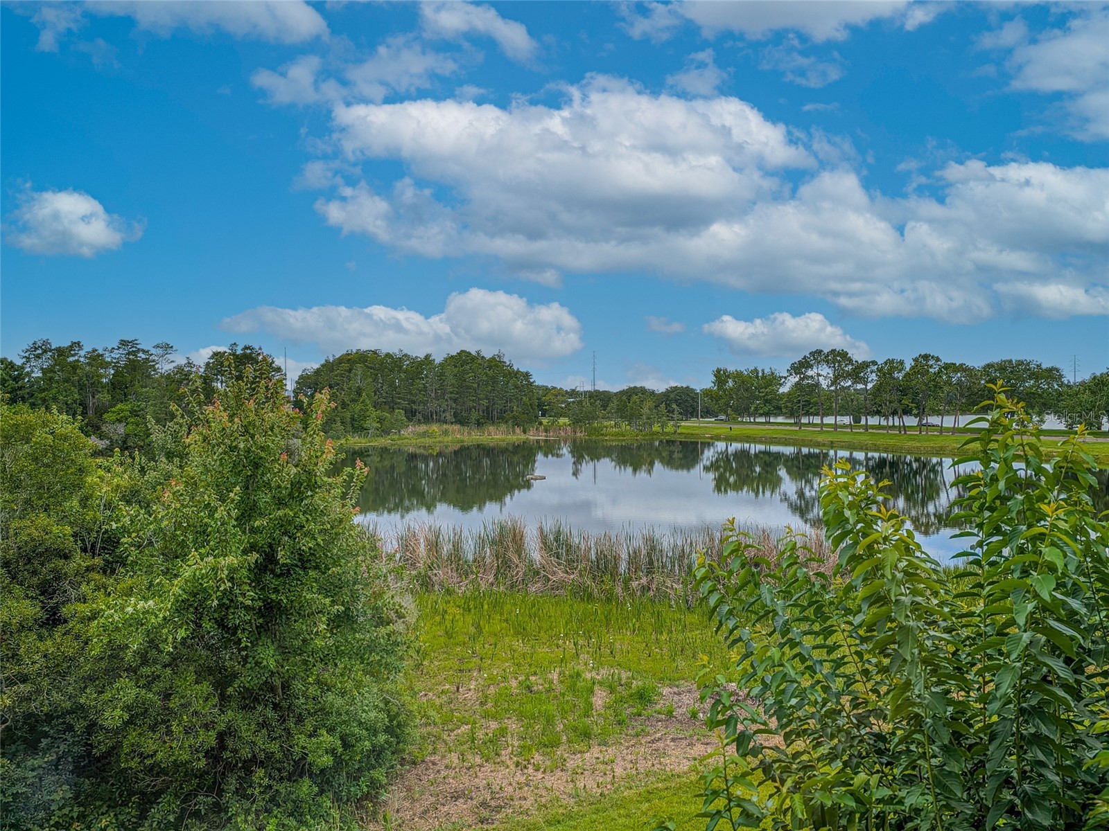 10409 Crimson Park Lane #110 Tampa FL 33626 TB8512743 image62