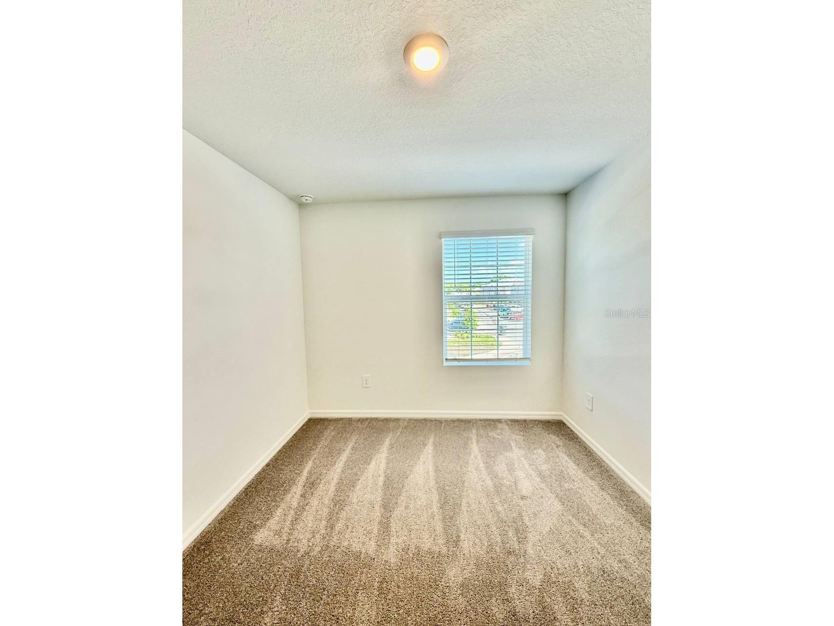 10409 Golden Sands Avenue Riverview FL 33578 TB8493839 image28