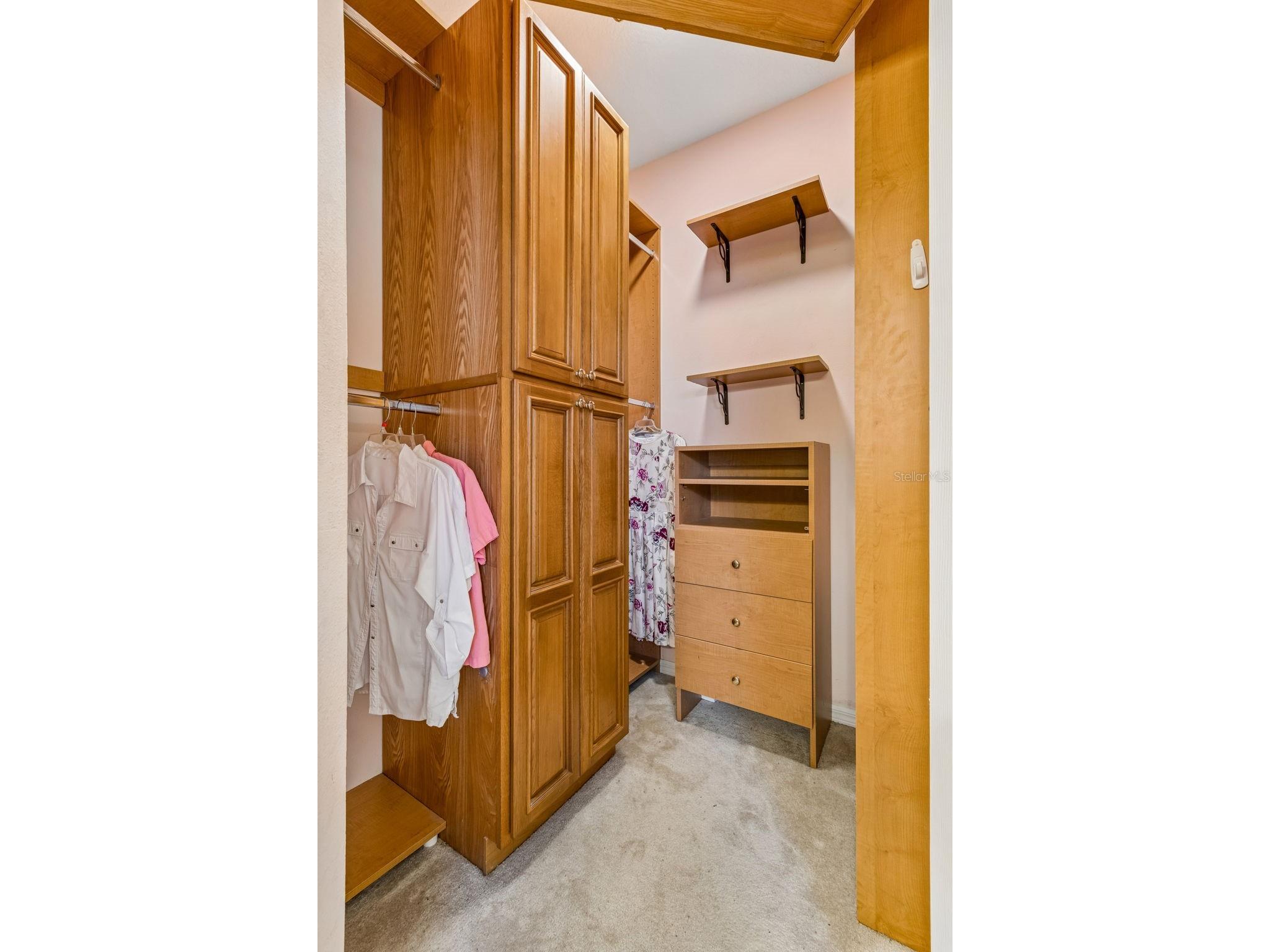 10409 Goldenbrook Way Tampa FL 33647 TB8513800 image33