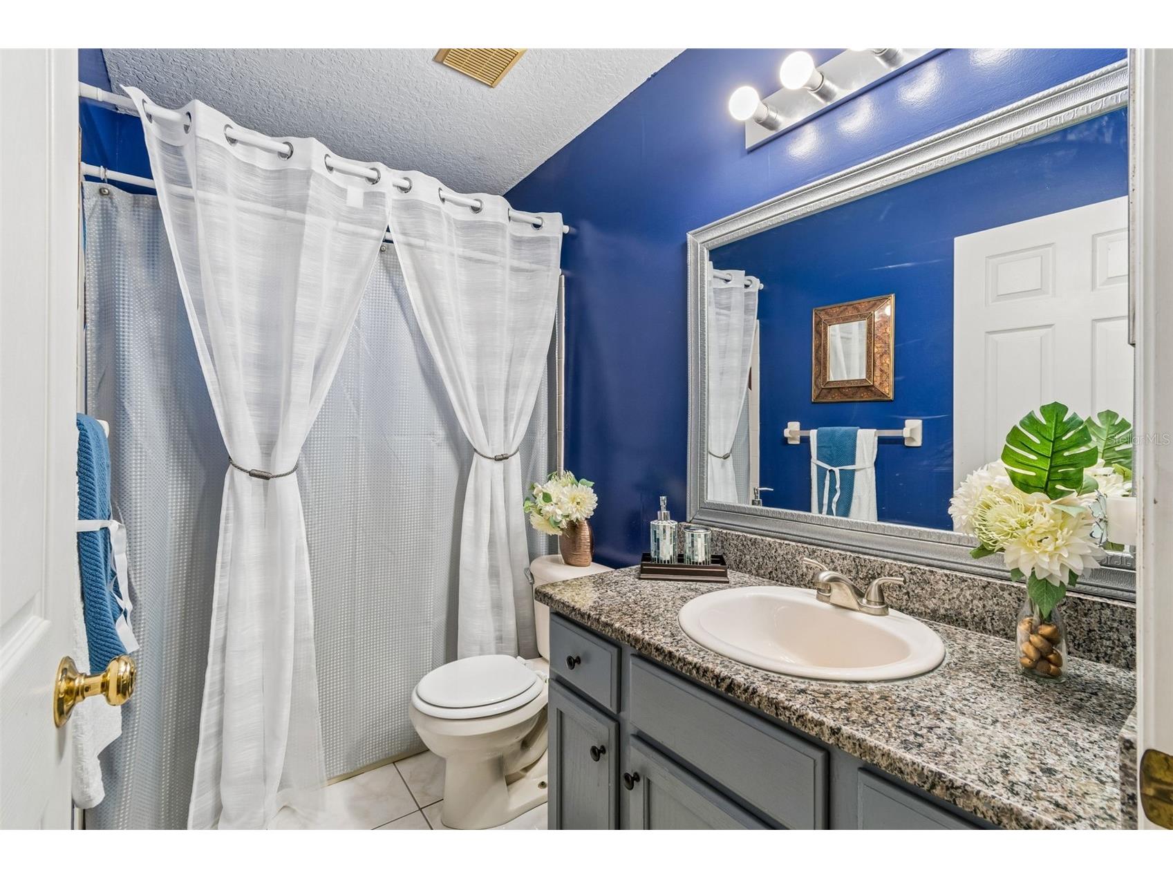 10409 Goldenbrook Way Tampa FL 33647 TB8513800 image43